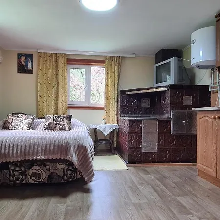 Комфортне Studio В Криворівні Krivorovnya Exterior photo